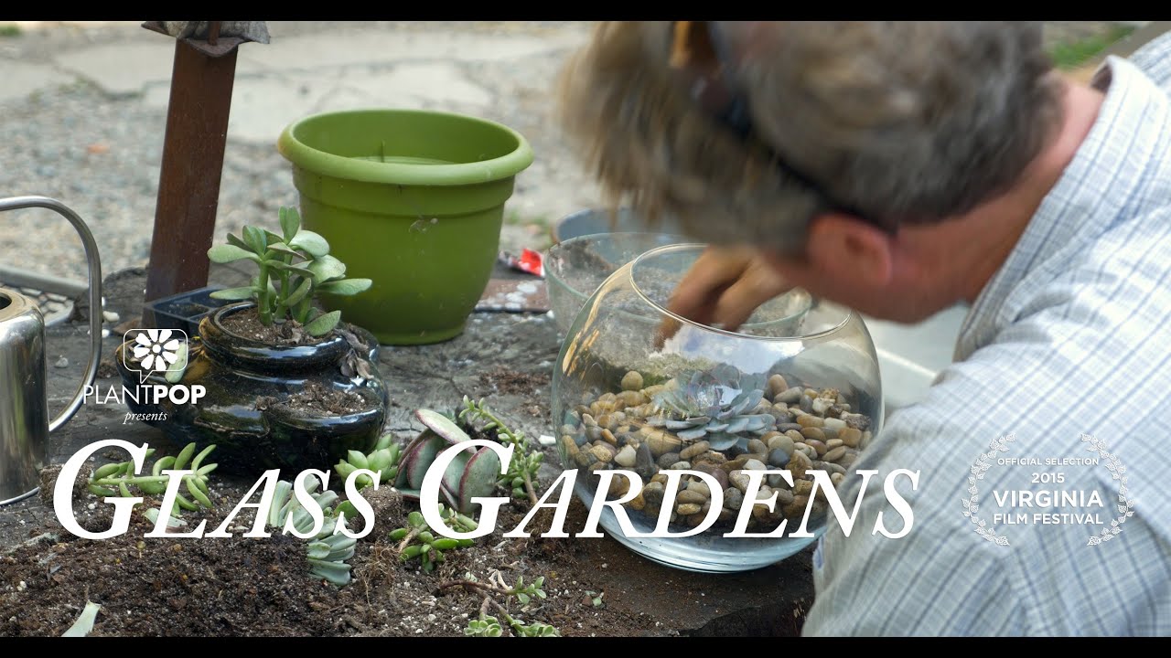 GLASS GARDENS TRAILER - YouTube
