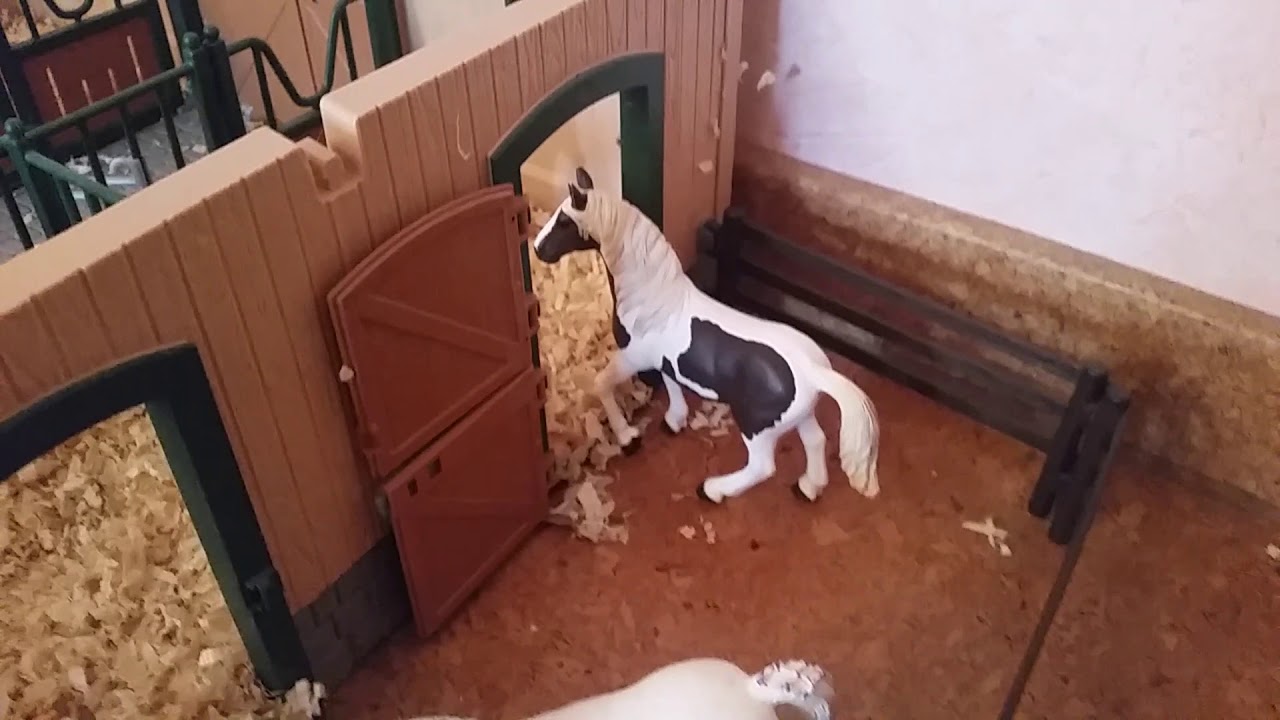 Pferd ab in deine Box!😂