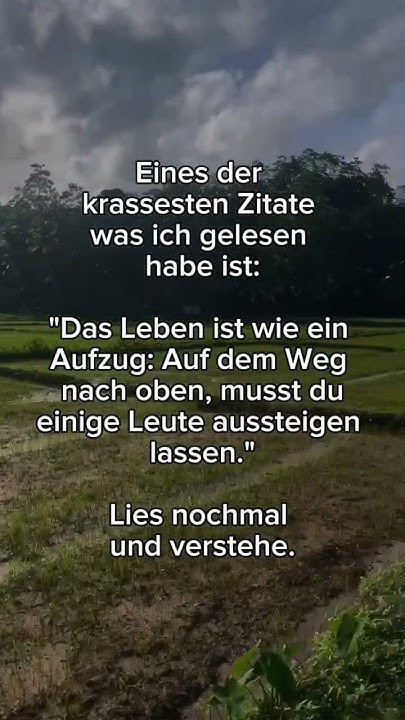 viral sprüche zitate leben gedanken shortsfeed shortvideo 