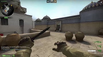 SPINBOT vs. SPINBOT (CS:GO)