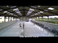 Kitting out a straw based pig shed Kitting out a straw based pig shed