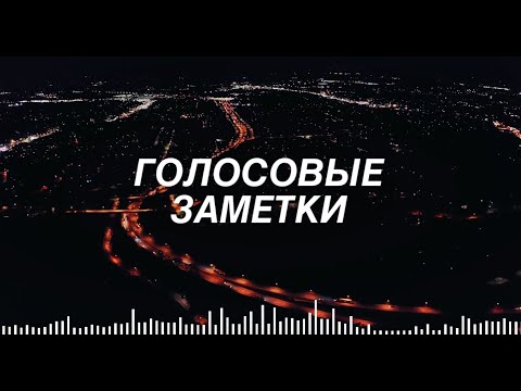 Голосовые заметки: Исчезающие в Метавселенной