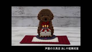 ふかふかトイプードル ライト付きメロディカード P245 サンリオ ふかふか素材 グリーティングカード バースデーカード お誕生お祝い