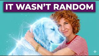 Your Pet's Soul Contract: Why They Chose You — Danielle MacKinnon | Animal Afterlife