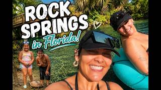 Our Day at Rock Springs Florida | Otters, Turtles, Tubing & Crystal Clear Water ☀️🐢🦦