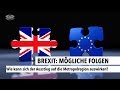 Brexit: Mögliche Folgen für die Metropolregion | RON TV |