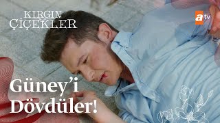 Güney Dayak Yiyor Kırgın Çiçekler Mix Sahneler