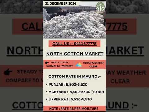 North cotton market rate today || उत्तरी भारत का कपास बाजार #kapas #punjab #rajasthan #haryana