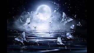 Neo Black Ночь Как Сон