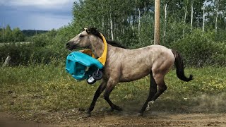 Try Not To Laugh 😂 | Fails Compilation #27