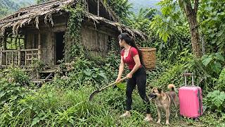 🏚️ Young Woman Finds a Bizarre House Deep in the Forest & Rebuilds It by Hand | Senh Forest Farm
