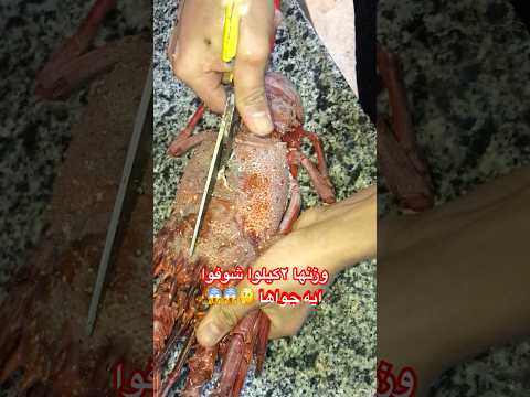 فتح الاستاكوزا الكبيره مطبوخه سمك عشاءلذيذ  طبخ نباتي اكل ساندويشات  