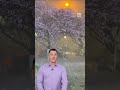 Fierce Winds Rip Through Southwestern China