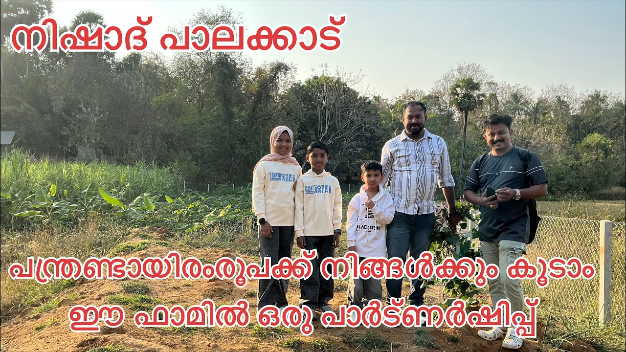#NP1188#വെറും പന്ത്രണ്ടായിരം രൂപക്ക് നിങ്ങൾക്കും കൂടാം ഈ ഫാമിൽ ഒരു പാർട്ണർഷിപ്പ്#നിഷാദ് പാലക്കാട്‌#