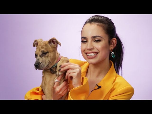 Sofia Carson Plays With Puppies While Answering Fan Questions class=