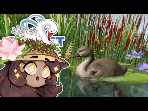 Once Upon A Time, There Was A Very Silly Swan... 🦢👑 Planet Zoo: Fantasy Forest • #1