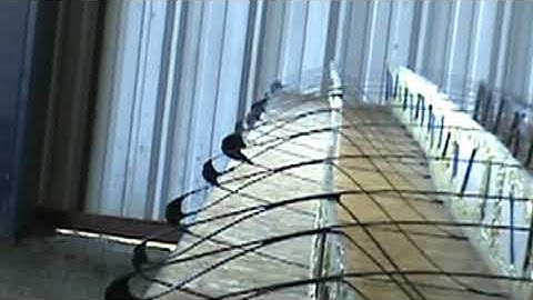 Carbon fiber ribs and spars are critical components in modern aerospace engineering