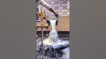 🕉🛕हर संकट पल में कट जाए तेरी अगर दया हो 🔱 #mahadev #shiva #bholenath #kedarnath #ujjain #mahakal 🪴