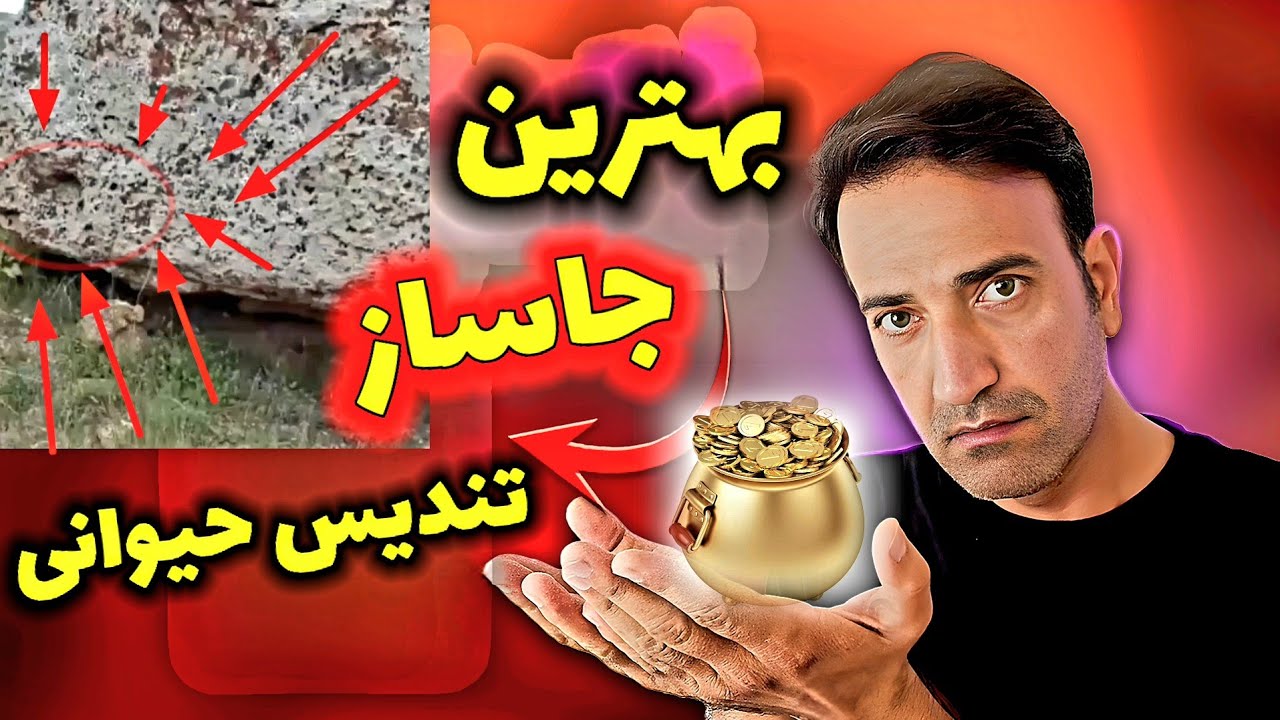 تثبیت کاسه جوغن بر روی نماد حیوانی همراه با جاساز
