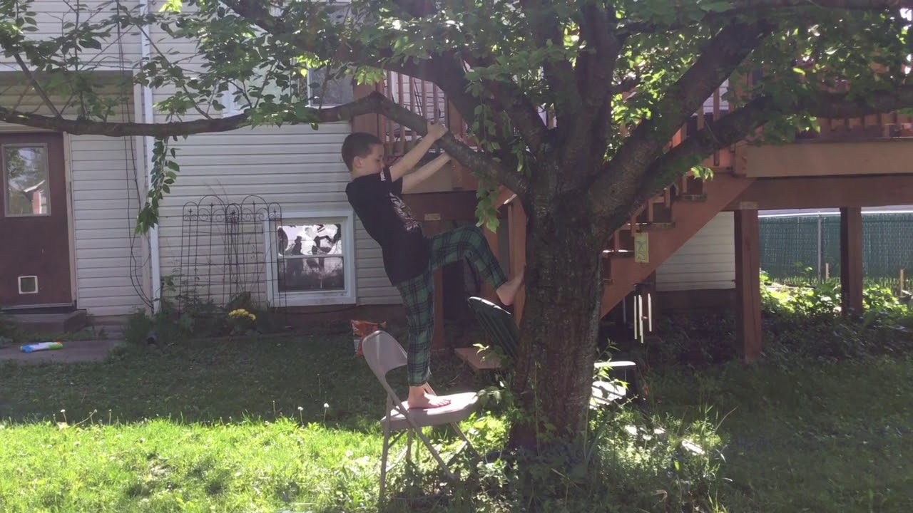 Some Tree Climbing... YouTube