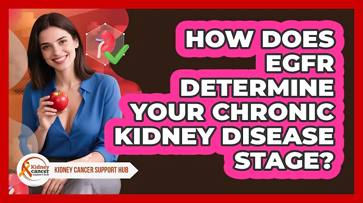 How Does eGFR Determine Your Chronic Kidney Disease Stage? - Kidney Cancer Support Hub