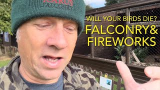 Falconry: how to stop fireworks killing your hawks !