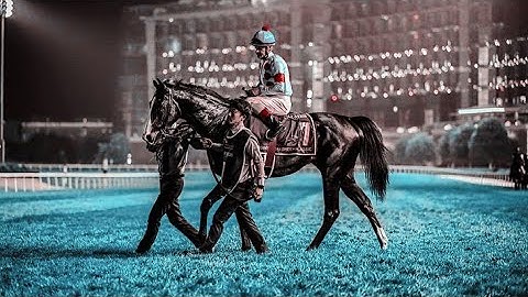 Run boy Run //Horse racing music video