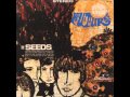 The Seeds - Where Is The Entrance Way To Play