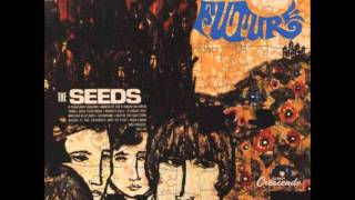 The Seeds - Where Is The Entrance Way To Play