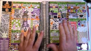 Erin Condren Planner Flip - July/15 - January/16