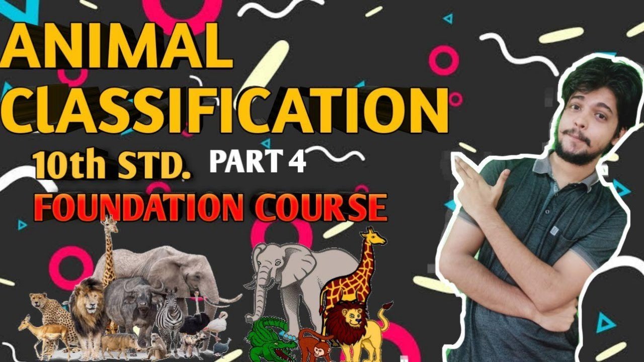 ANIMAL CLASSIFICATION P4| CLASS 10TH FOUNDATION COURSE |ANNELIDA TO ...