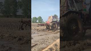 Belarus Tractor #farmequipment #trending #viral #farmmachinery #shortvideo #agriculture #tractor