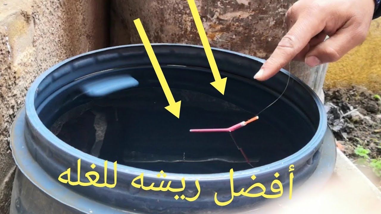تجهيز عده صيد السمك بالغله وعمل افضل ريشه للصيد بالقمح باحترافية