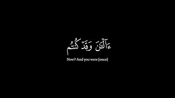 كروما بصوت عبد الرحمن مسعد سورة يونس أثم إذا ما وقع آمنتم به (قل لا أملك لنفسي ضرا ولا نفعا)