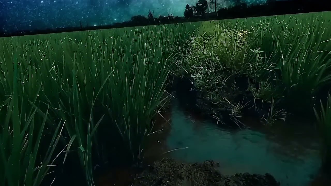 Jagalah Istri Dan Anak 