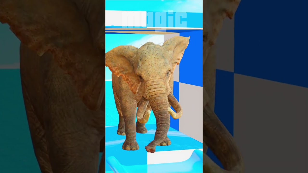 PAINT ANIMALS Gorilla Zebra Elephant Bull Tiger colored fountains