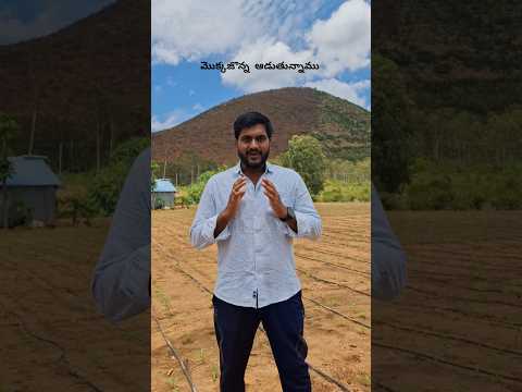 మా ఊరులో మొక్కజొన్న ఇలా ఆడతాము,#mefarmer #telugufarmer