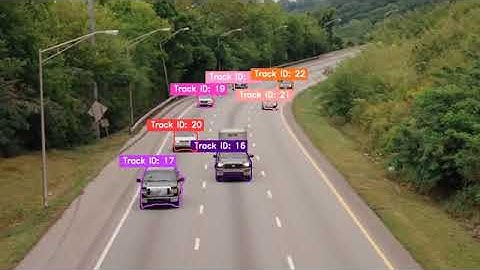 Vehicle Instance Segmentation with Object Tracking | Wisepl | Annotation Services