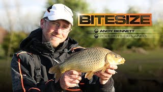 Pole Pots EXPLAINED - Andy Bennett | Guru Bitesize #006