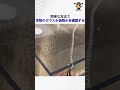 簡単な方法で本物のガラスか偽物かを確認する