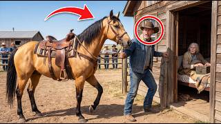 A Sacred Horse Led a Rancher to a Dying Woman — What They Uncovered Shocked an Entire Town