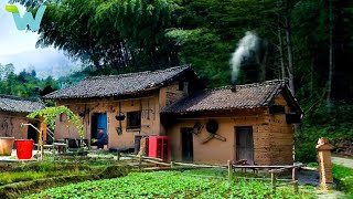 The woman left her husband in the forest to renovate the old house lives a free life