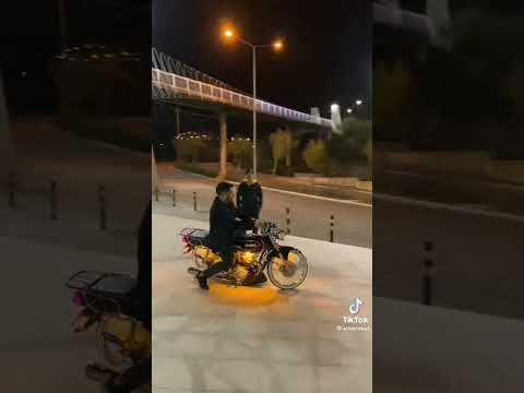 Küba çıta 100r Gold drift Berk çakmak