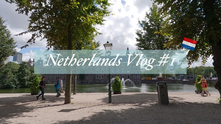 네덜란드 브이로그 1️⃣ 🇳🇱 암스테르담 to 덴하그(헤이그) 1박2일 기차여행 | 비넨호프,키블링,koekamp,스헤브닝언