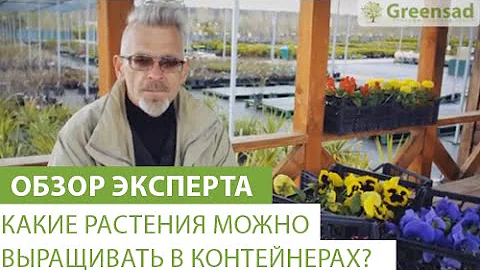Какие растения можно выращивать в контейнерах?