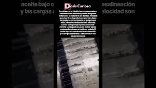 El aceite sucio arruina esto en tu coche #AutoRepair #Mantenimiento #Importante