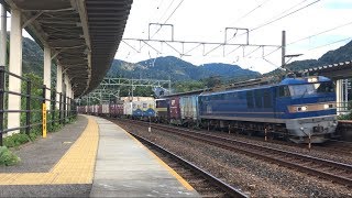 JR貨物 3095レEF510-514 新疋田通過 2017.9.2