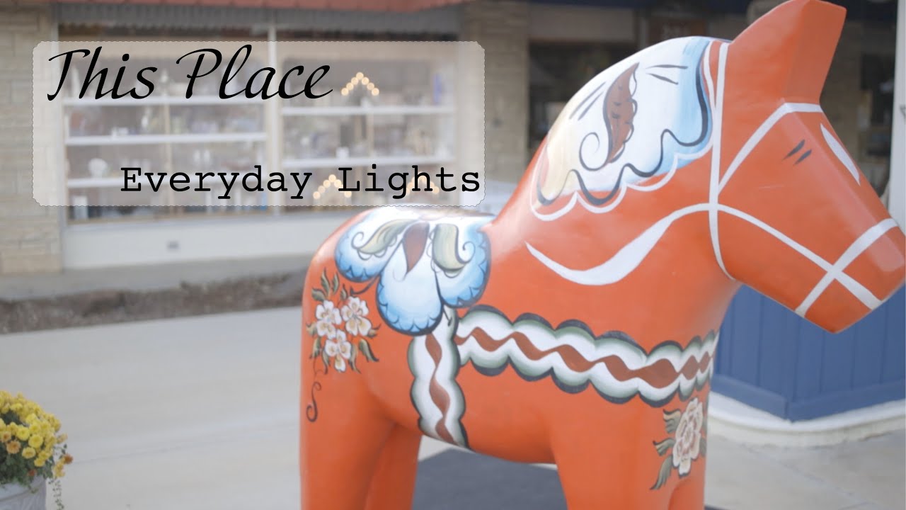 Everyday Lights - This Place