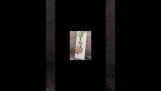 home decor| 5 min craft |reuse old material| waste out of best