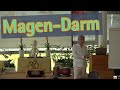 Magen-Darm - Dr. Hans Rhyner - Ayurveda Kongress 2019